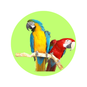 Bird Products